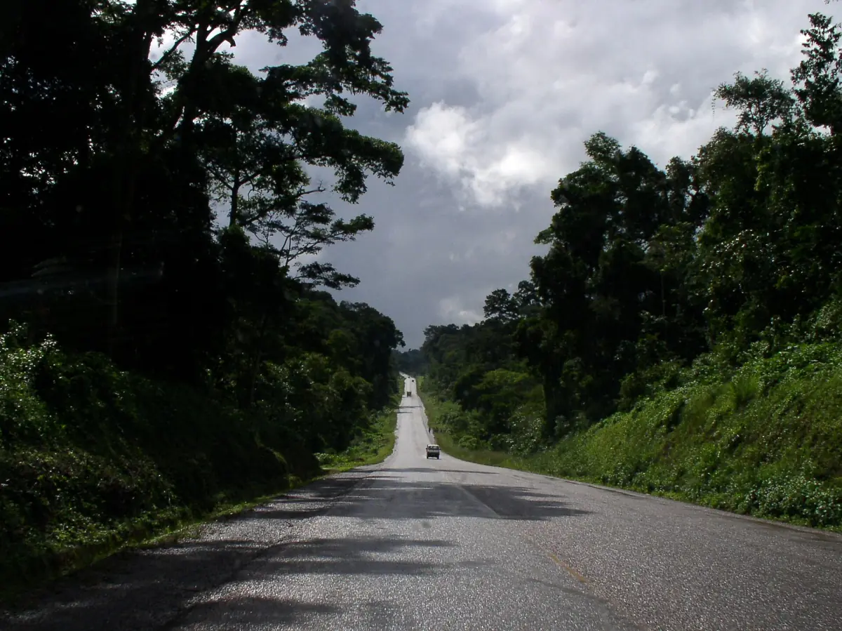 Die Straße nach Jinja durch den Mabira-Wald